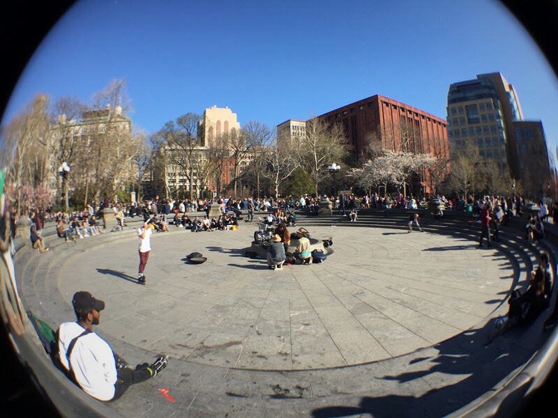 Washington Square Park 4